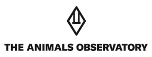 theanimalsobservatory